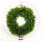 Haute Decor 24 Inch Premium Artificial Boxwood Wreath - Spring or Summer Wreath for Front Door - Boxwood Artificial Greenery with Natural Grapevine Base